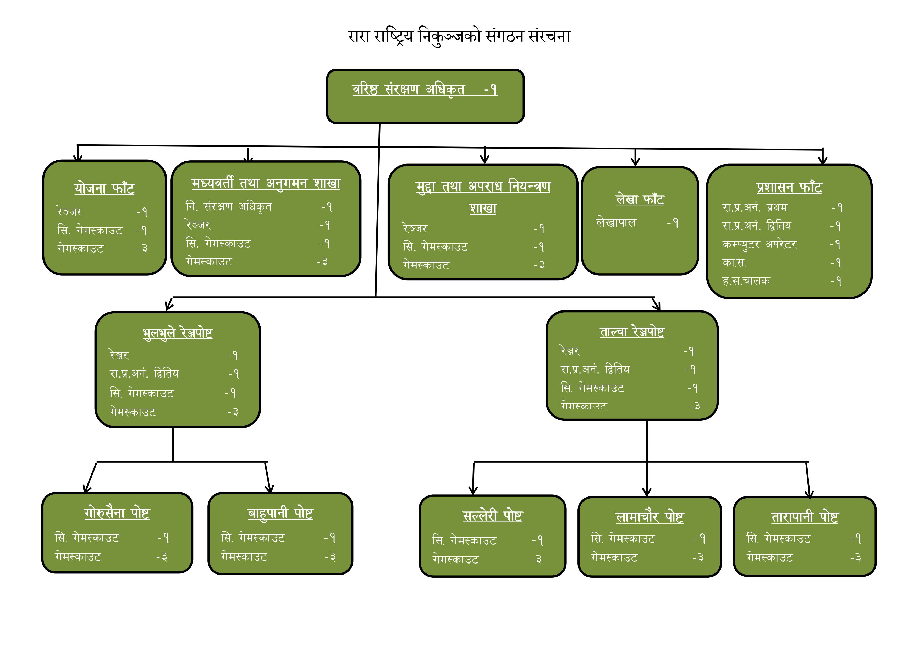 organization structure of RNP Nep